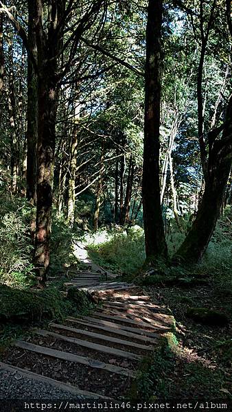 DSC_0419.jpg DSC_0419.jpg