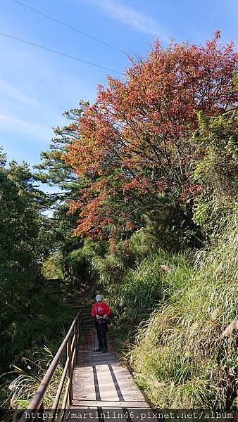 DSC_0422.jpg DSC_0422.jpg