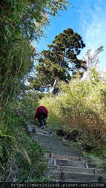 DSC_0435.jpg DSC_0435.jpg