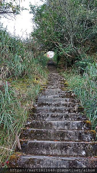 DSC_0437.jpg DSC_0437.jpg