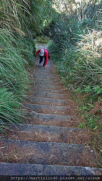 DSC_0441.jpg DSC_0441.jpg