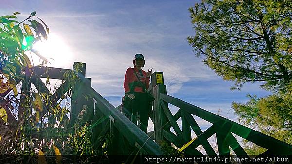 DSC_0494.jpg DSC_0494.jpg