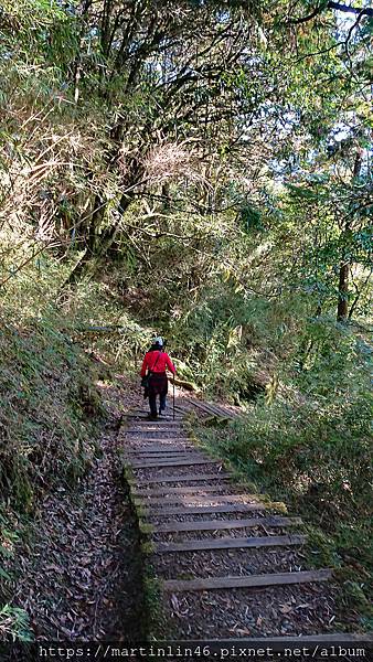 DSC_0515.jpg DSC_0515.jpg