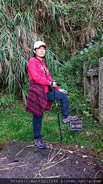 DSC_0497.jpg DSC_0497.jpg