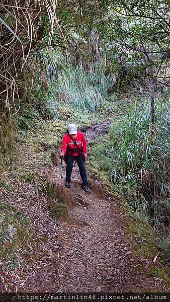 DSC_0501.jpg DSC_0501.jpg