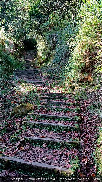 DSC_0519.jpg DSC_0519.jpg