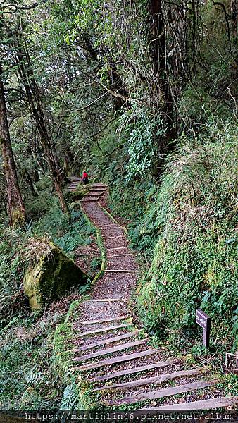 DSC_0522.jpg DSC_0522.jpg