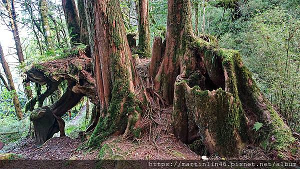 DSC_0521.jpg DSC_0521.jpg