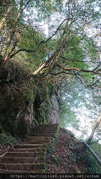 DSC_0525.jpg DSC_0525.jpg