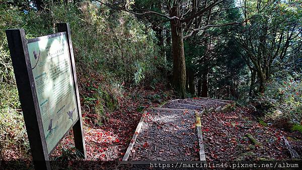 DSC_0526.jpg DSC_0526.jpg