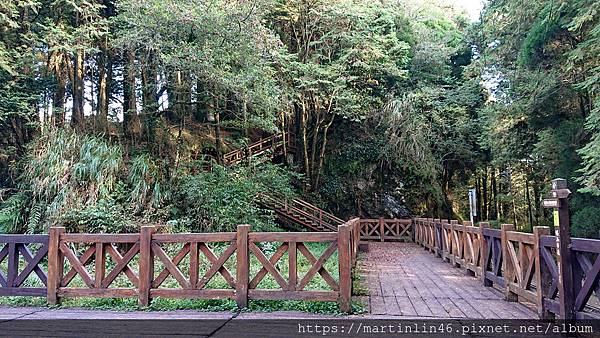 DSC_0533.jpg DSC_0533.jpg