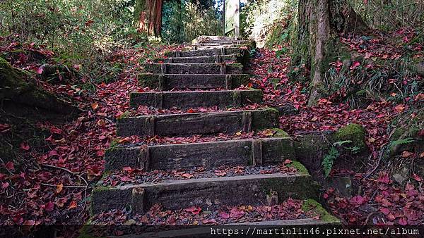 DSC_0527.jpg DSC_0527.jpg