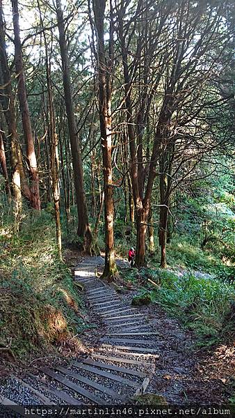 DSC_0528.jpg DSC_0528.jpg