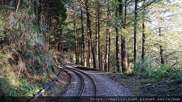 DSC_0534.jpg DSC_0534.jpg