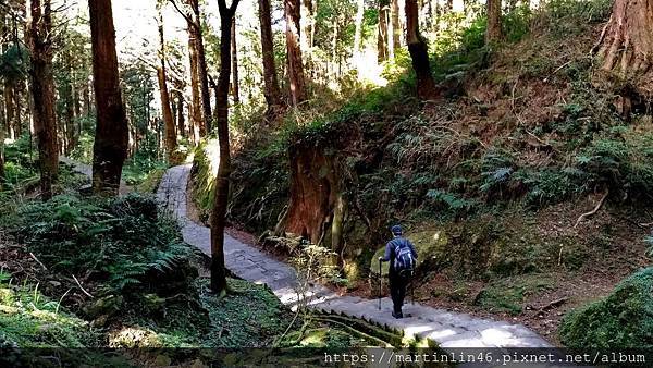 1543925053429A.jpg 1543925053429A.jpg