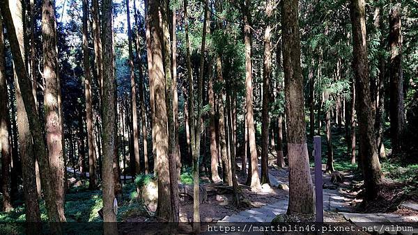 DSC_0364.JPG DSC_0364.JPG