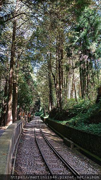 DSC_0363.JPG DSC_0363.JPG