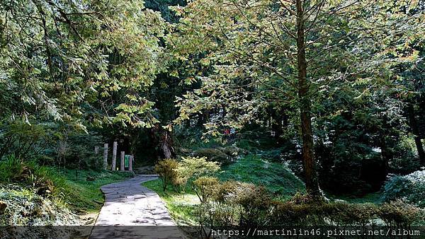 DSC_0373.JPG DSC_0373.JPG