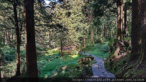 DSC_0370A.jpg DSC_0370A.jpg