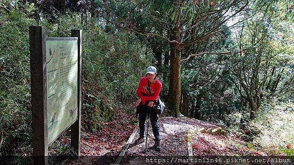 DSC_0409.JPG DSC_0409.JPG