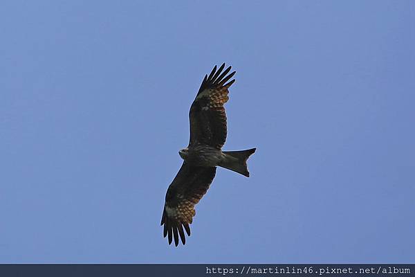 1L2A0397.jpg 1L2A0397.jpg