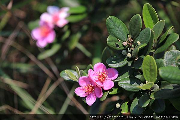 1L2A0373.jpg 1L2A0373.jpg