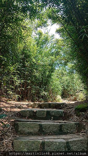 DSC_2353.jpg DSC_2353.jpg