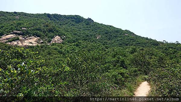 DSC_2385.jpg DSC_2385.jpg