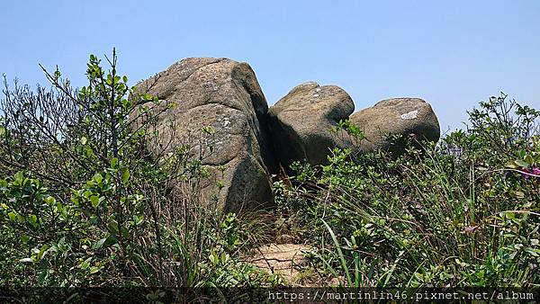 DSC_2406.jpg DSC_2406.jpg