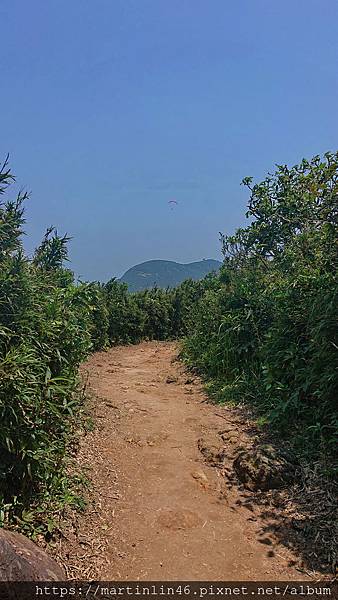 DSC_2475.jpg DSC_2475.jpg