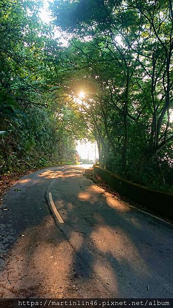 _20200328_195754A.jpg _20200328_195754A.jpg