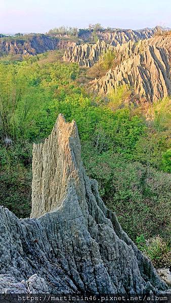 _20200329_1630282.jpg _20200329_1630282.jpg