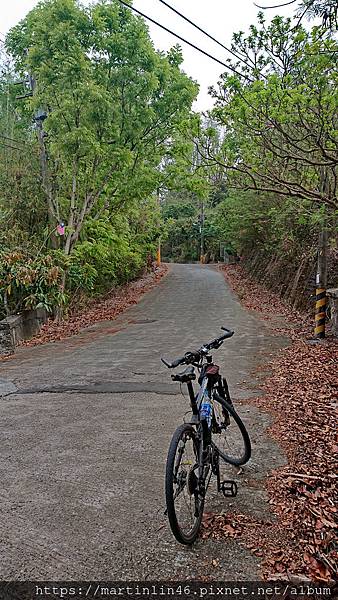 DSC_4175.jpg DSC_4175.jpg