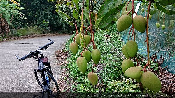 DSC_4189.jpg DSC_4189.jpg