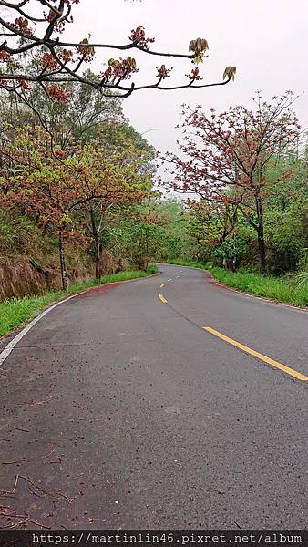 DSC_4201.jpg DSC_4201.jpg