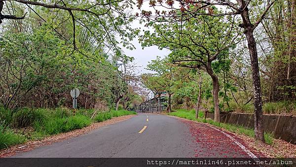 DSC_4202.jpg DSC_4202.jpg