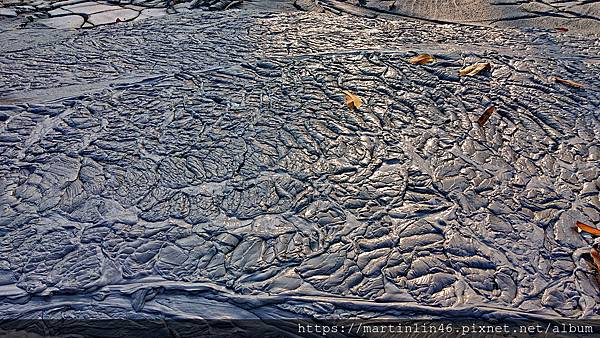 DSC_3986.jpg DSC_3986.jpg