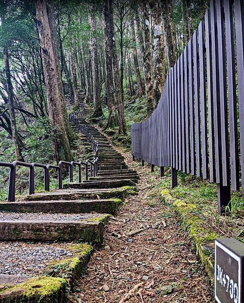 對高岳.jpg