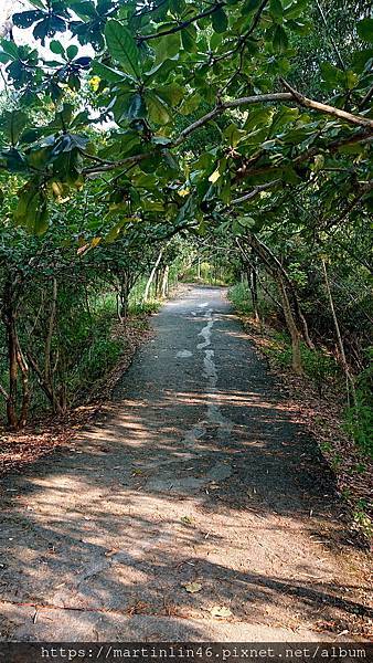 DSC_0078_2.JPG DSC_0078_2.JPG