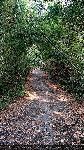 DSC_0081_2.JPG DSC_0081_2.JPG