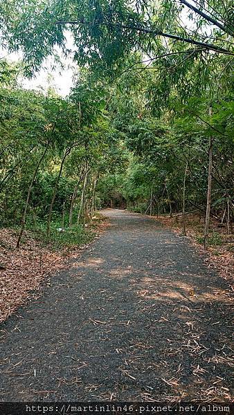 DSC_0082_2.JPG DSC_0082_2.JPG