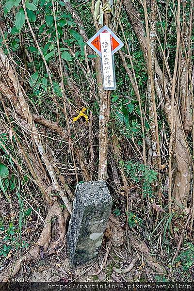 DSC_0098_2.JPG DSC_0098_2.JPG