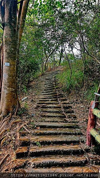 DSC_0094_2.JPG DSC_0094_2.JPG