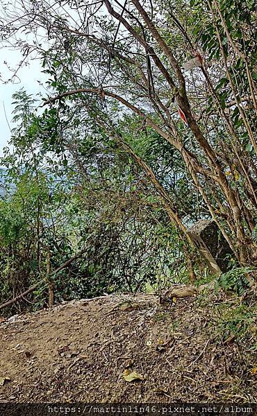 DSC_0100_2.JPG DSC_0100_2.JPG