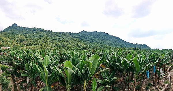 DSC_0194_2.JPG DSC_0194_2.JPG