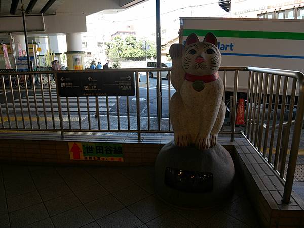 東京自由行 貓奴必訪東京人氣打卡景點，充滿招福貓的豪德寺