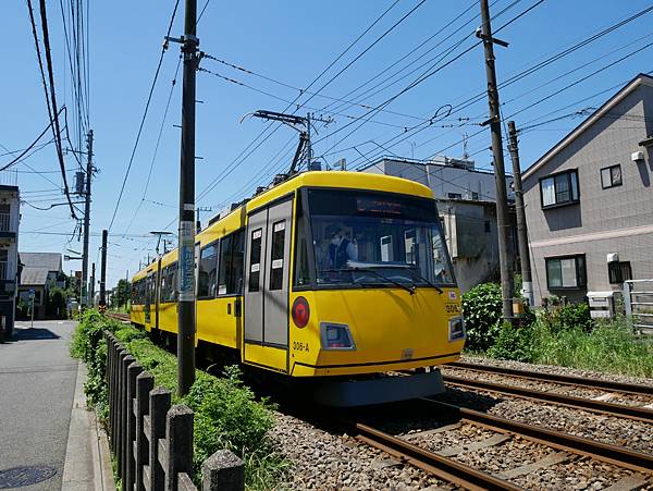 東京自由行 貓奴必訪東京人氣打卡景點，充滿招福貓的豪德寺