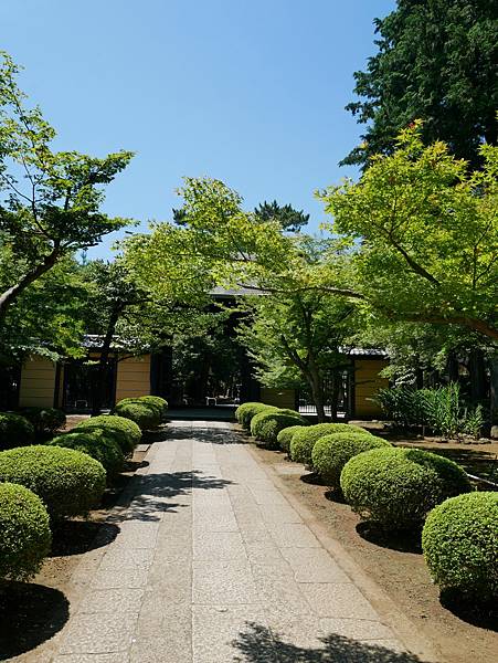 東京自由行 貓奴必訪東京人氣打卡景點，充滿招福貓的豪德寺