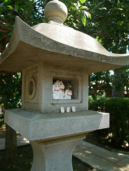 東京自由行 貓奴必訪東京人氣打卡景點，充滿招福貓的豪德寺