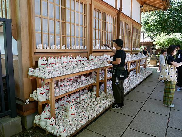 東京自由行 貓奴必訪東京人氣打卡景點，充滿招福貓的豪德寺